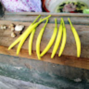 Meet your Posher, Monica gisela